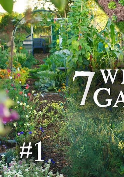 S01:E08 - 7 Creative & Unique Gardens in 25 Minutes poster