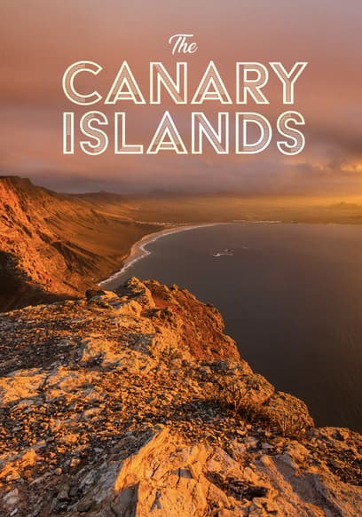 The Canary Islands