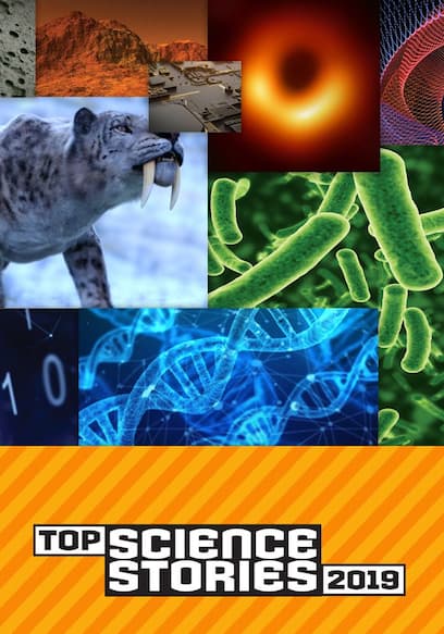 Top Science Stories of 2019