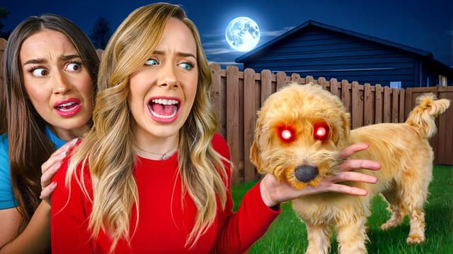 S01:E08 - Spooky Puppy Playtime!