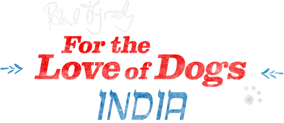 Paul O'Grady: For the Love of Dogs - India