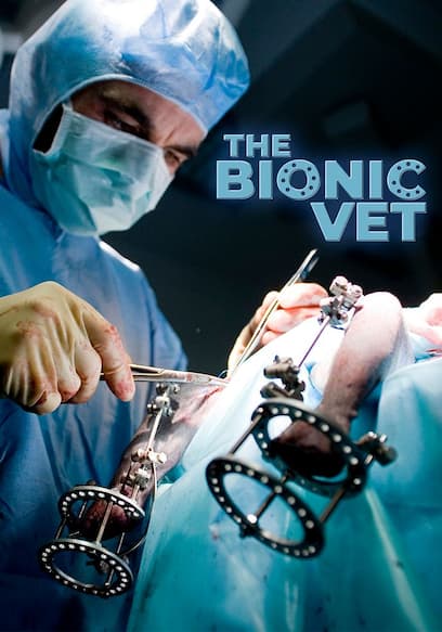 The Bionic Vet