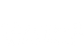 The Sorcerer and the White Snake