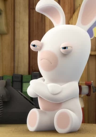 S01:E12 - Rabidnocho/Prueba De Rabbid N°98003: El cubo/Rabbids Con Pulgas poster