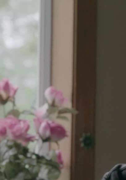 S01:E03 - The Pattern Revealed poster