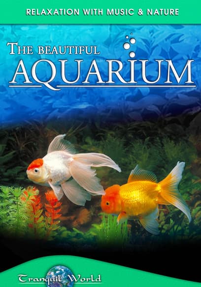 Tranquil World - Relaxation With Music & Nature: The Beautiful Aquarium