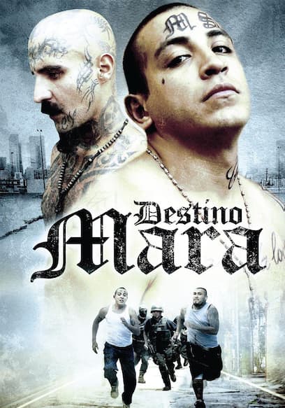 Destino Mara