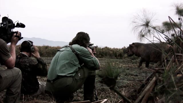 S08:E16 - Aggressive Black Bear at 8 Yards With a Bow