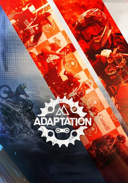 Adaptation