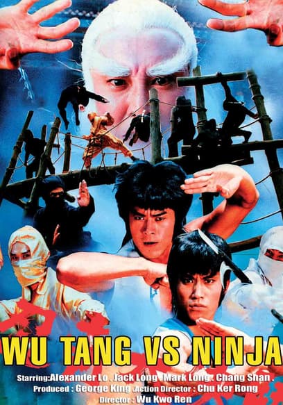 Wu Tang vs Ninja poster