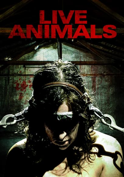 Live Animals
