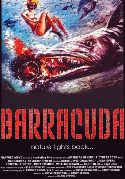 Barracuda