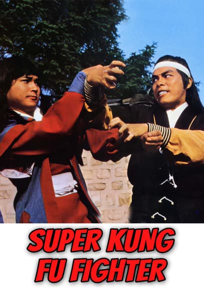 Super Kung Fu Fighter