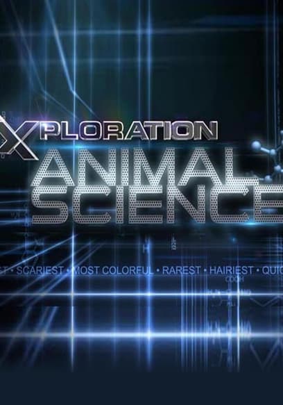 S01:E12 - Animals With Super Senses