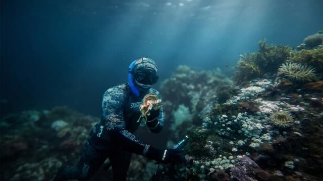 S01:E12 - Foraging in Great White Shark Territory