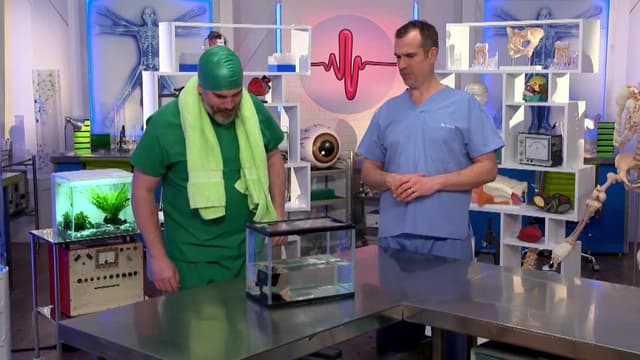 S11:E06 - Mouth v Knee