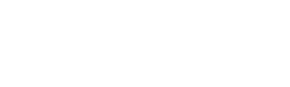 The Holly Kane Experiment