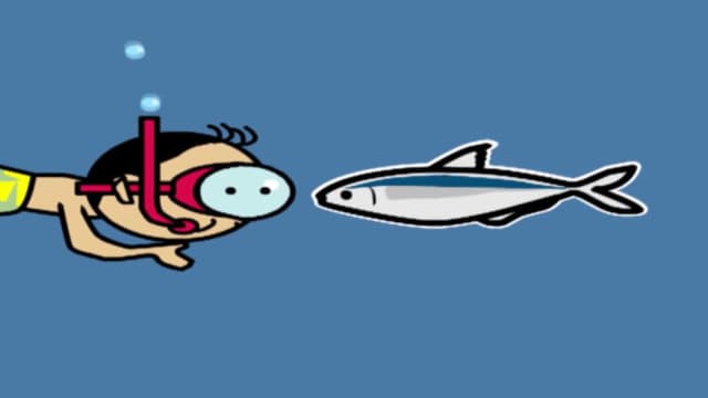 S01:E49 - Pescado Azul