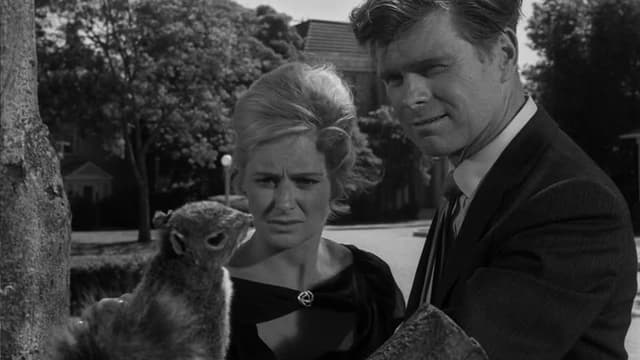 S05:E22 - Stopover in a Quiet Town (Aka Strangers in Town)