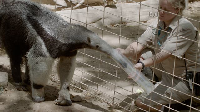 S01:E20 - Episodio 20