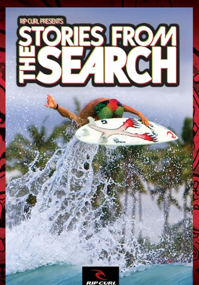 The Stories From the Search