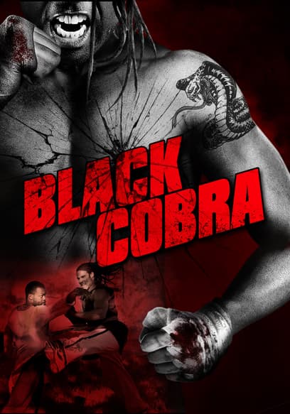 Black Cobra poster