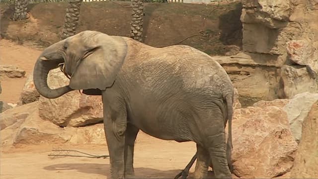 S04:E16 - Episode 16