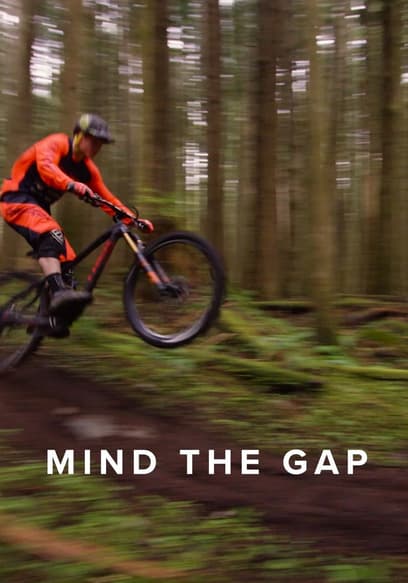 Mind the Gap poster
