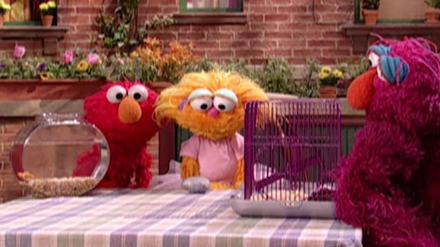 S35:E02 - Best Pet in the World