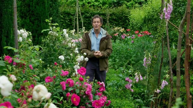 S09:E11 - Episode 11