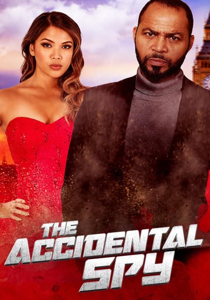 The Accidental Spy
