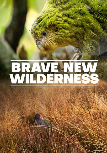 Brave New Wilderness