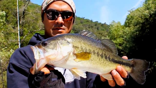 S01:E19 - Crossover Bass Fishing Secrets From a Pro