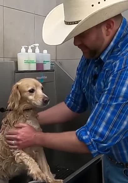 S01:E04 - Dog Bath Time for Kids poster