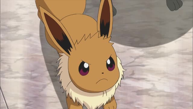 S19:E08 - A Dancing Debut!