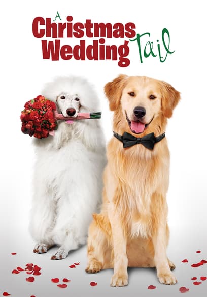 A Christmas Wedding Tail