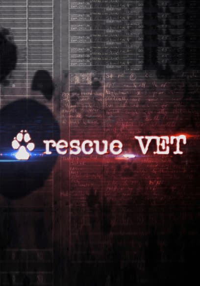 S01:E13 - Episode 13