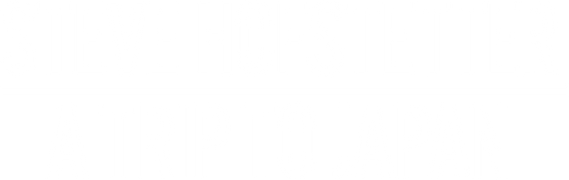 Steve Hofstetter: A Trip to Japan