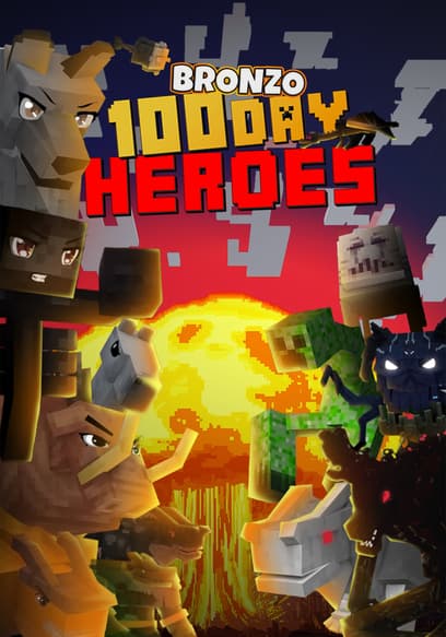 Bronzo: 100 Day Heroes poster