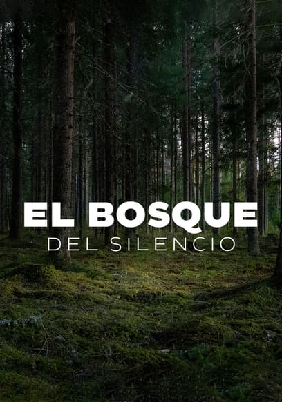 El Bosque Del Silencio