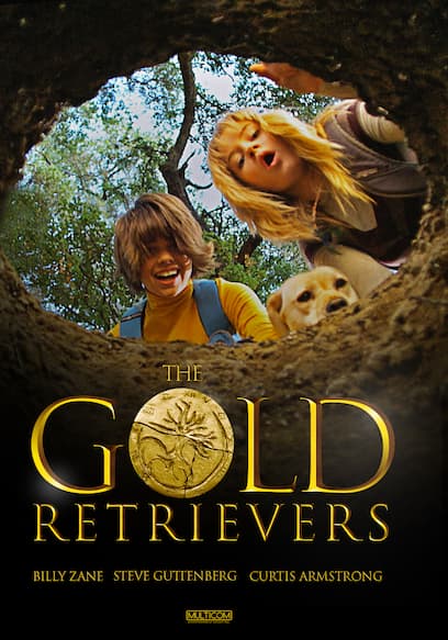 The Gold Retrievers