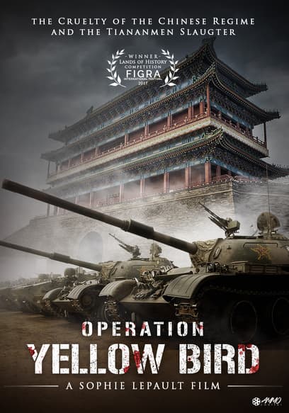Operation Yellow Bird