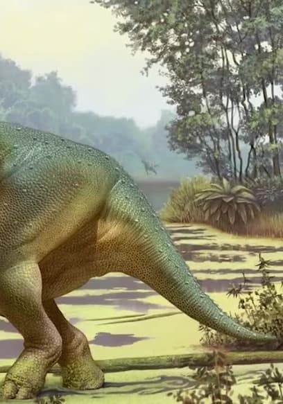 S01:E06 - Chicxulub: The Asteroid That Killed the Dinosaurs poster