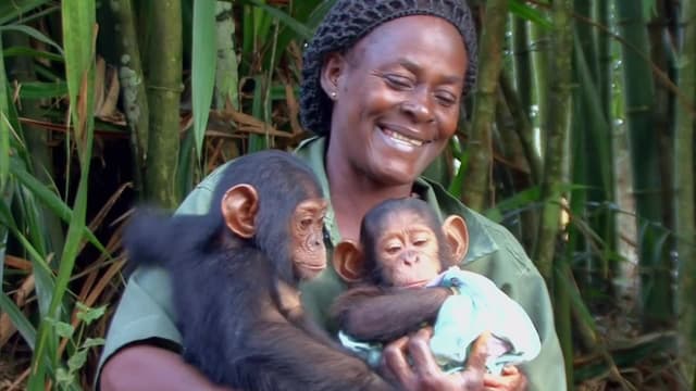 S01:E02 - Nuevas Llegadas