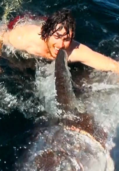 S01:E13 - Swimming With 1000 LB Bluefin: Prince Edward Island poster