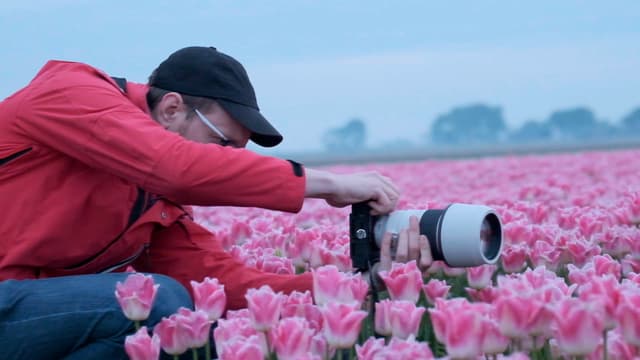 S01:E08 - Best Tulip Photos in Amsterdam