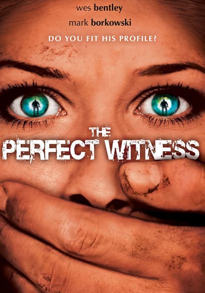 The Perfect Witness poster