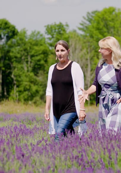 S01:E05 - Lavender in Bloom poster