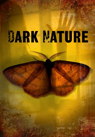 Dark Nature