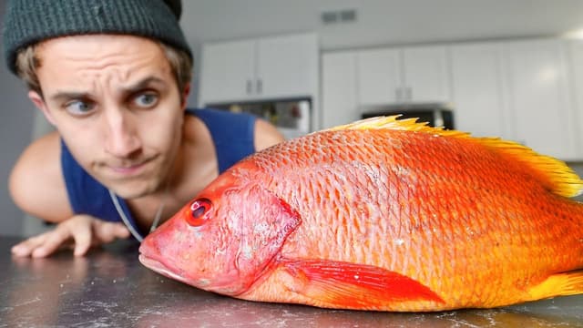 S01:E16 - Fish Shoes and Custom Lamborghini Urus